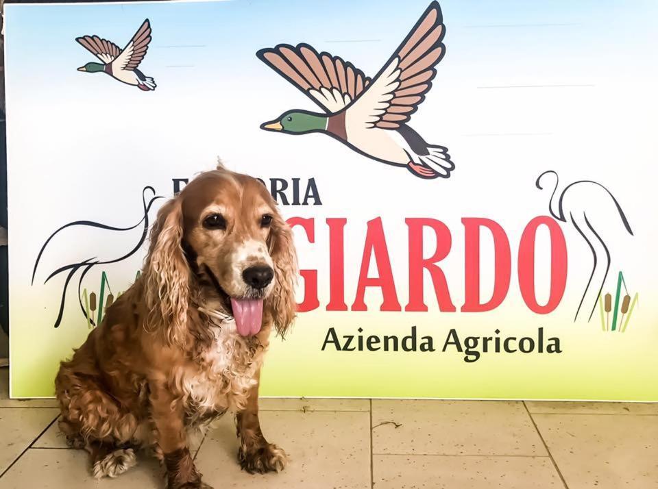 Fattoria Il Giardo Apartment Pietrasanta Ngoại thất bức ảnh
