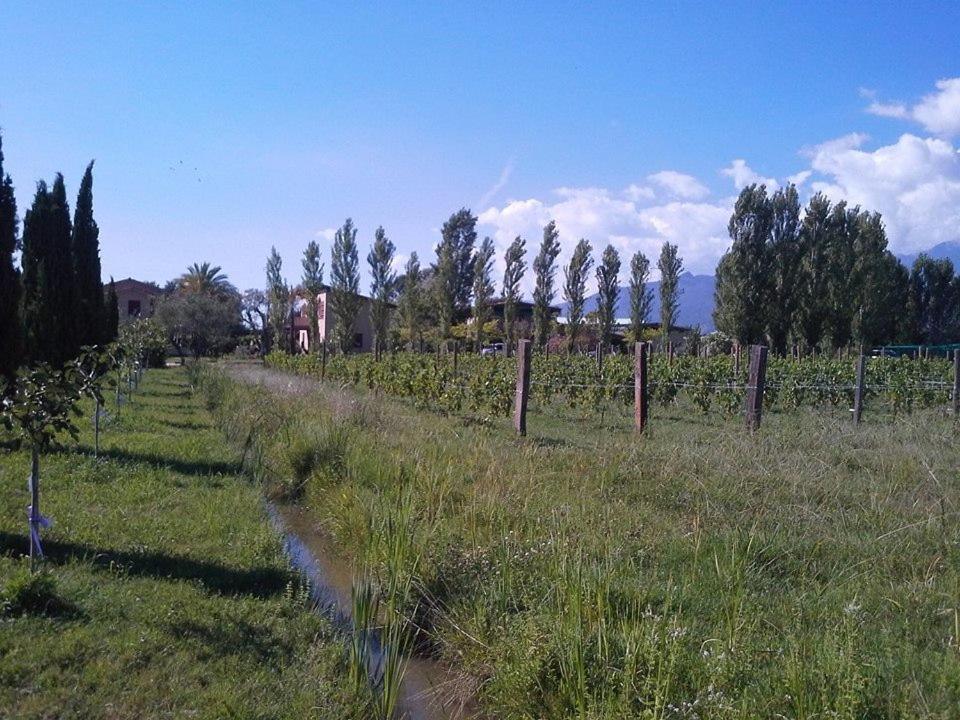 Fattoria Il Giardo Apartment Pietrasanta Ngoại thất bức ảnh