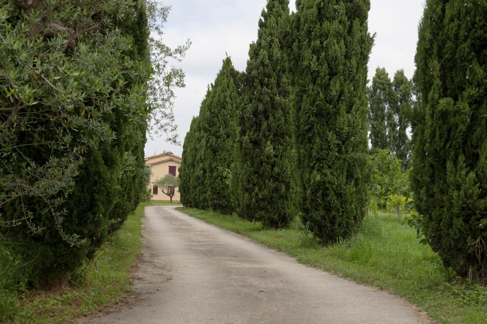 Fattoria Il Giardo Apartment Pietrasanta Ngoại thất bức ảnh