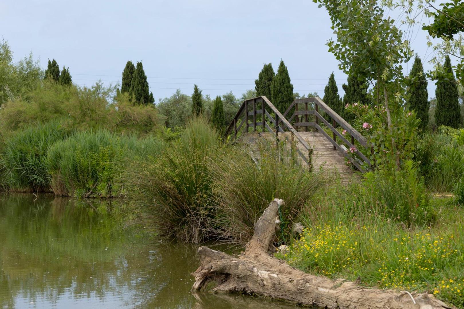Fattoria Il Giardo Apartment Pietrasanta Ngoại thất bức ảnh