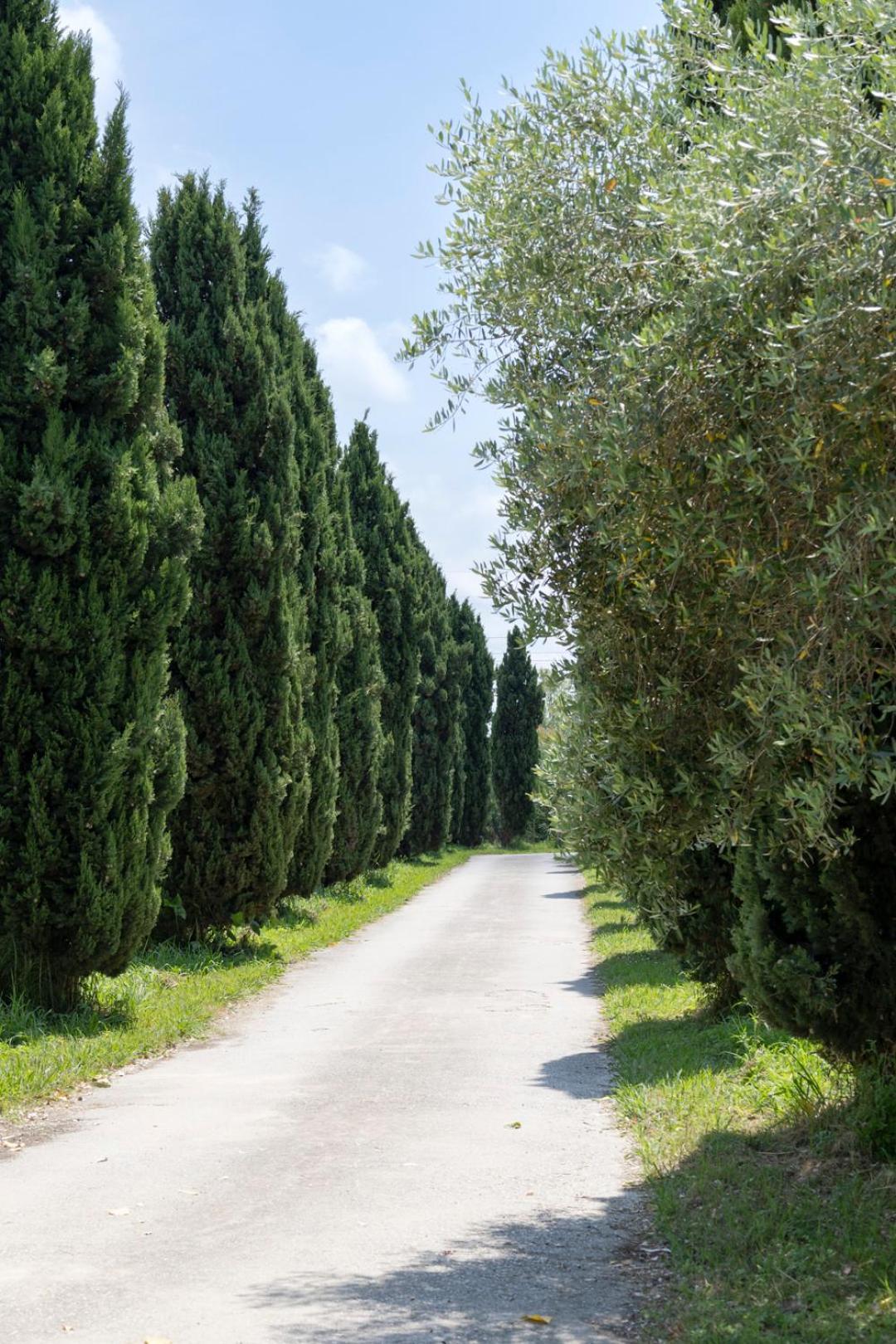 Fattoria Il Giardo Apartment Pietrasanta Ngoại thất bức ảnh